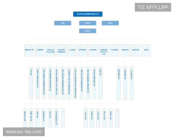 柔性组织架构试行 适应快速变化的市场环境 柔性组织架构试行 适应快速变化的市场环境